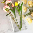 Aesthetic Book Design Flowers Vase