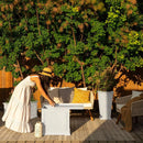 2-in-1 Garden Storage & Serving Table